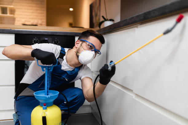 Best Fumigation Services  in Rogersville, AL